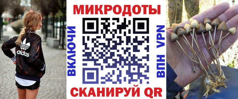 Псилоцибиновые грибы прущие грибы  Ачинск 